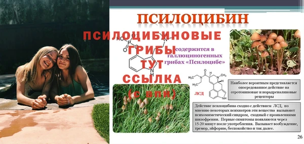 ALPHA PVP Алексин