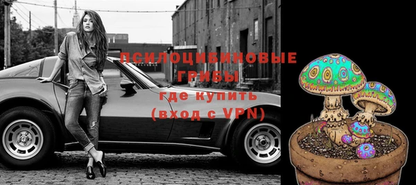 ALPHA PVP Алексин