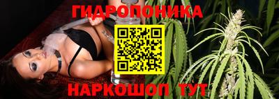 винт Аргун
