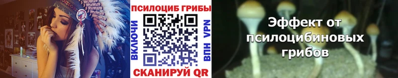Галлюциногенные грибы мухоморы  Белгород 